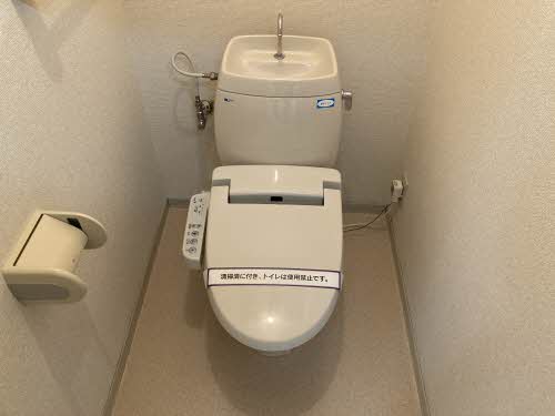 エントピア黒髪 ** A0201号-11