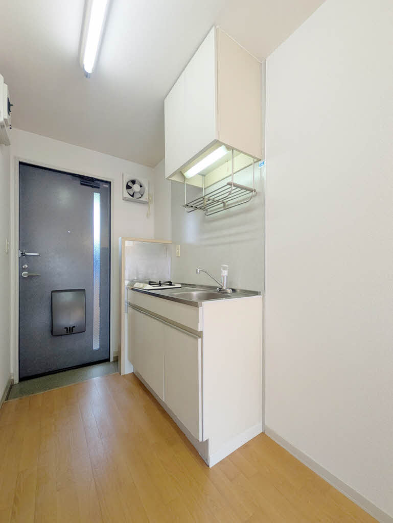 エントピア黒髪 ** A0206号-3