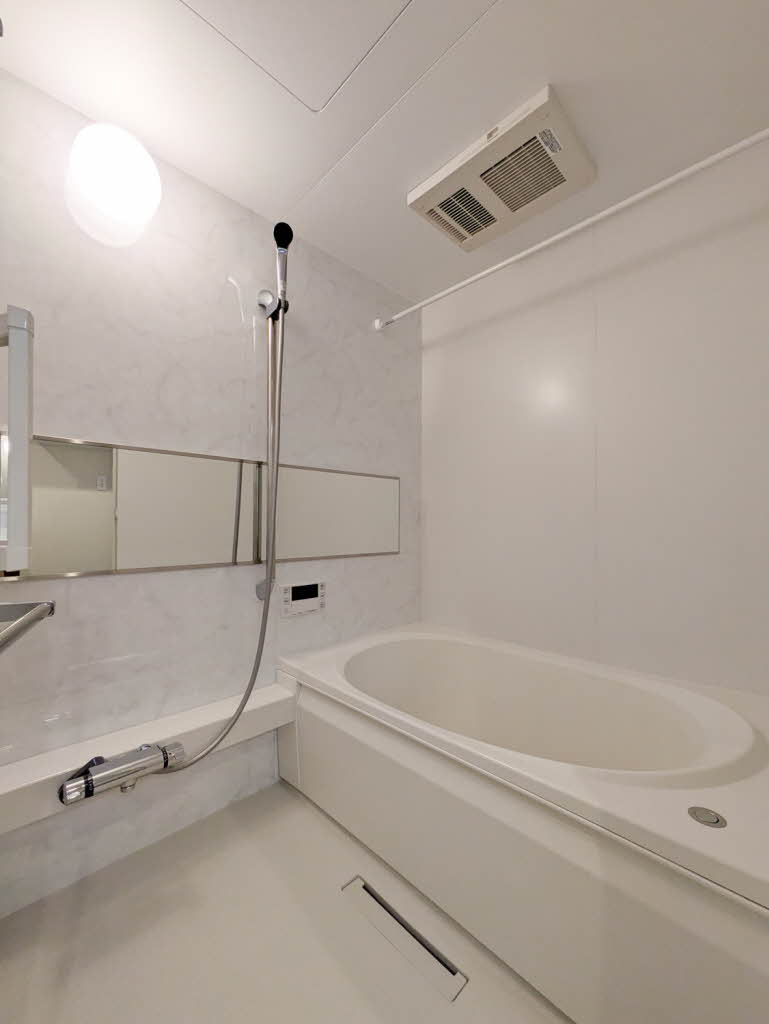 Ｓｈａｍａｉｓｏｎ　ｍａｕｖｅｉｎ A0101号-4