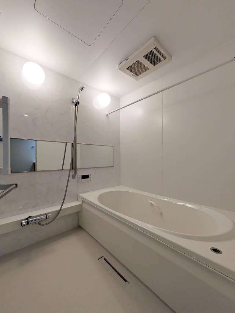 Ｓｈａｍａｉｓｏｎ　ｍａｕｖｅｉｎ A0102号-4