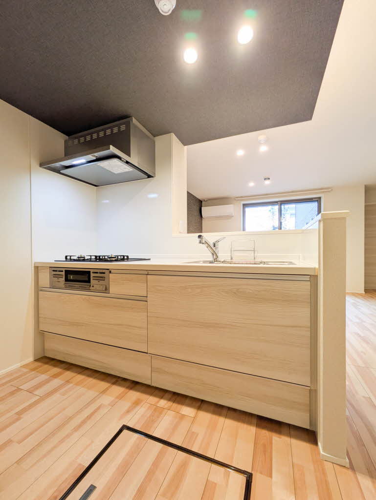 Ｓｈａｍａｉｓｏｎ　ｍａｕｖｅｉｎ A0103号-3