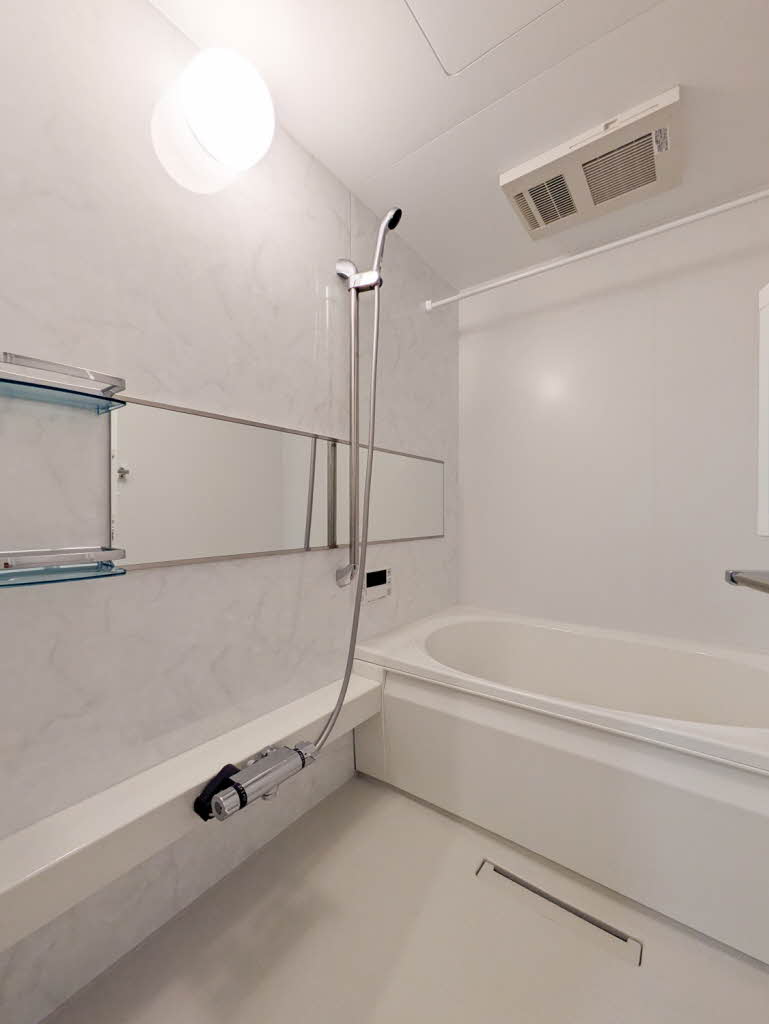 Ｓｈａｍａｉｓｏｎ　ｍａｕｖｅｉｎ A0103号-4