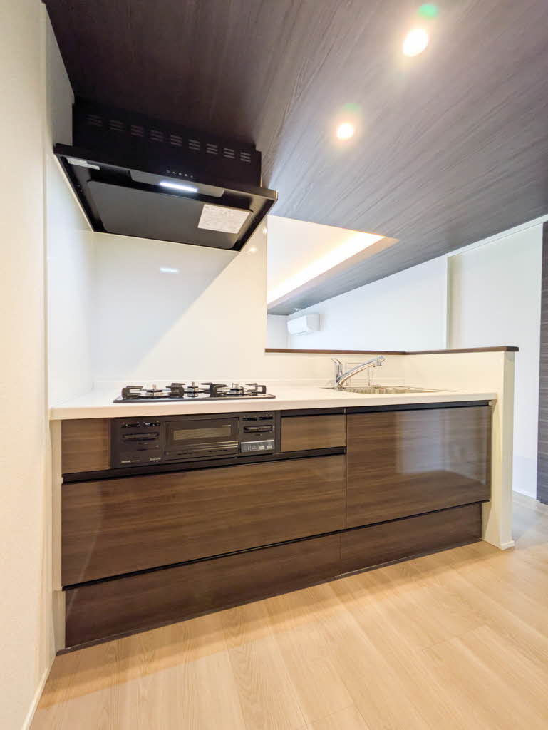 Ｓｈａｍａｉｓｏｎ　ｍａｕｖｅｉｎ A0204号-3