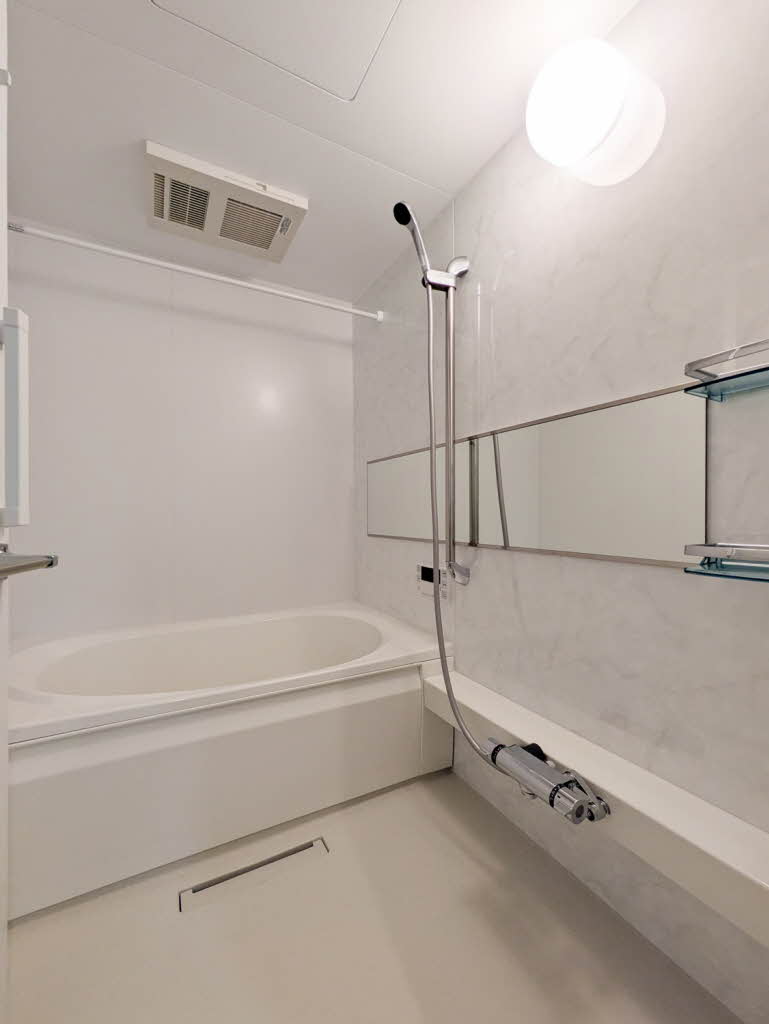 Ｓｈａｍａｉｓｏｎ　ｍａｕｖｅｉｎ A0204号-4