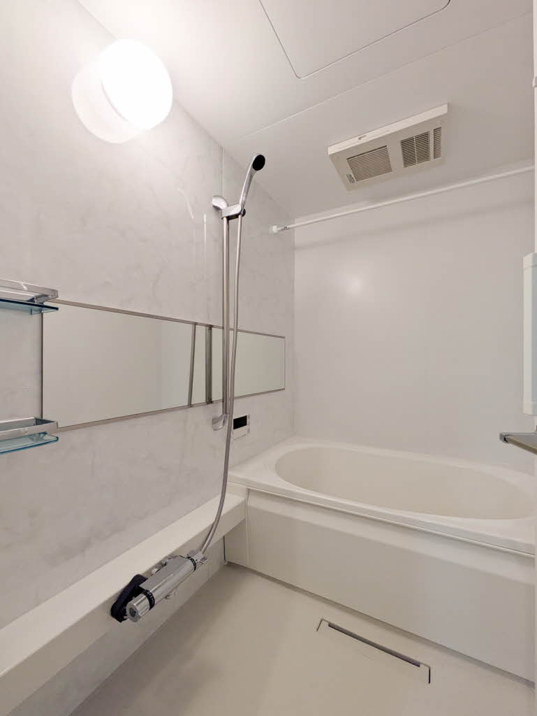 Ｓｈａｍａｉｓｏｎ　ｍａｕｖｅｉｎ A0205号-4