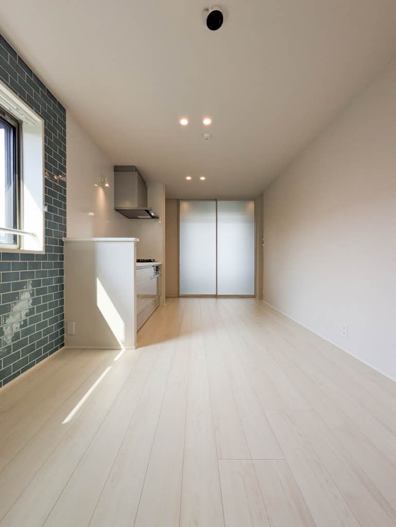 Ｓｈａｍａｉｓｏｎ　ｍａｕｖｅｉｎ A0205号-7