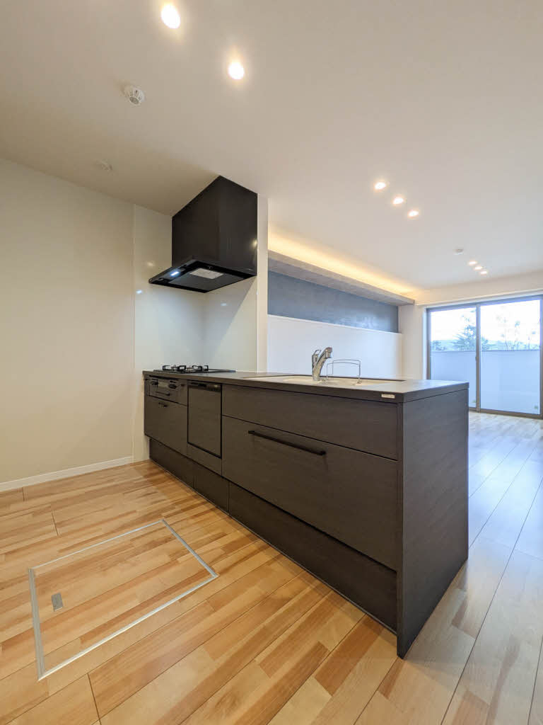 シャーメゾン壺川 A0101号-3