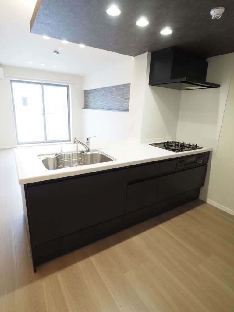 シャーメゾンカトレヤ A0202号-3