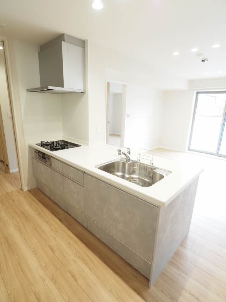 シャーメゾンカトレヤ A0203号-3