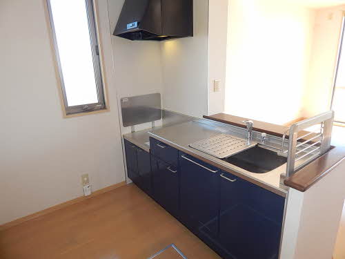 アンビシヨン　Ａ棟　＊ A0101号-3