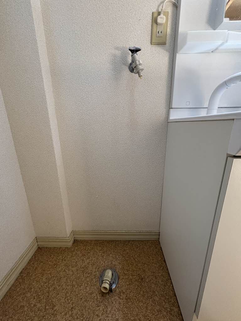 It’s FACE A0102号-6