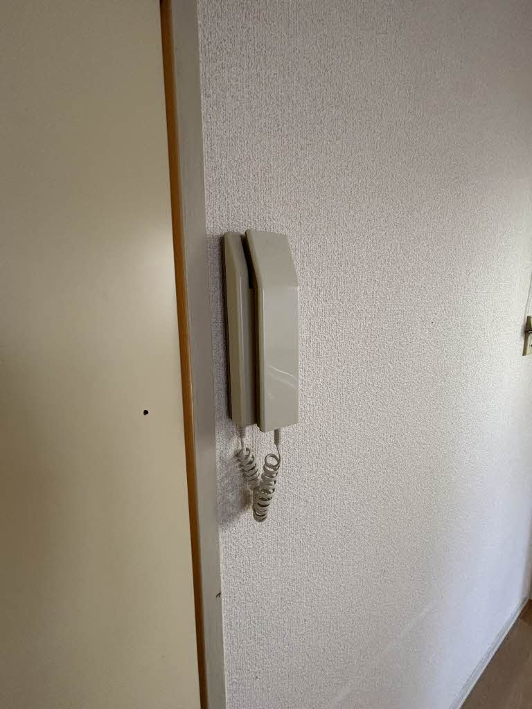 It’s FACE A0102号-8