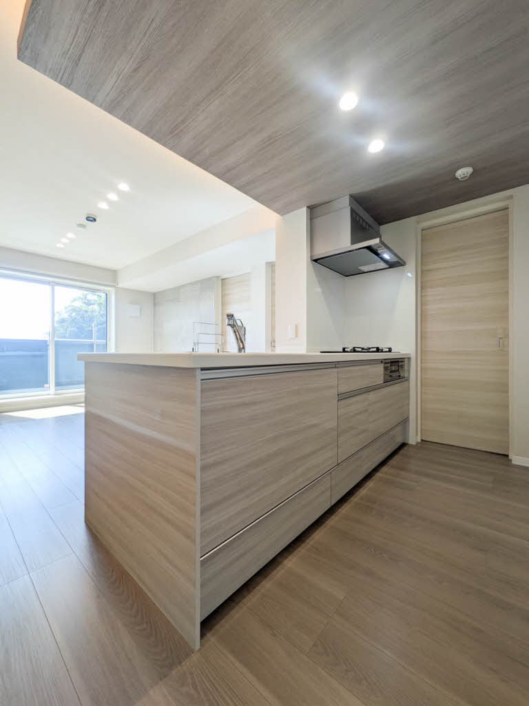 メゾンリーベル A0304号-3