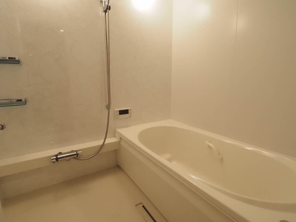 シャーメゾンプレミア鹿児島駅前 A0101号-4