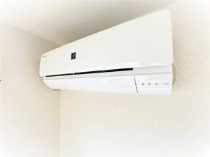 ジュネス　＊ A0202号-12