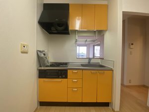 グランディール愛3 * A0203号-3