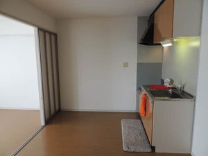 Ｓｈａ　Ｍａｉｓｏｎ　Ｋ　＊ A0202号-13