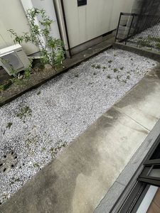 サンシャーレ21 * A0102号-9