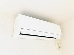 ディアス・リー * A0202号-7