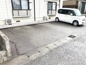 ディアス・リー * A0202号-13