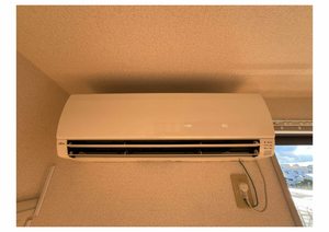 シャーメゾンアルテミス　＊ A0202号-10