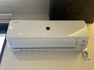 シャルマンＭ・Ｙ　＊＊ A0202号-11