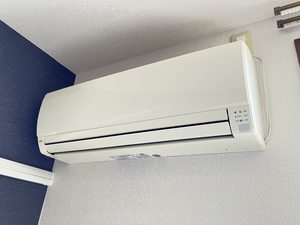 ワンズグレイス * A0101号-15