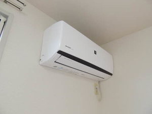 プランドール雄　＊ A0204号-5