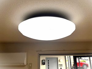 ＭＡＳＴ’Ｓテル・フィス　＊ A0102号-14