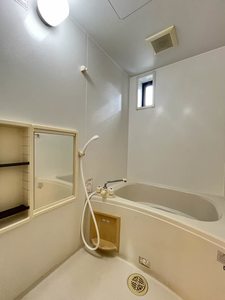 ロータス・Ⅰ * A0101号-4