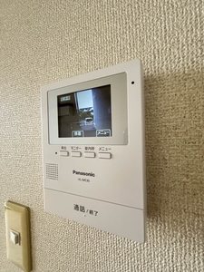 ロータス・Ⅰ * A0101号-11