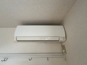 ロータス・Ⅰ * A0101号-14