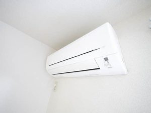 メイプルガーデン和井田　Ｂ棟　＊＊ B0101号-11