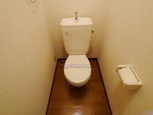 ディアス穴生　＊ A0203号-8