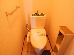 アイレフ　Ｂ棟　＊＊ B0101号-13