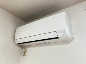 トルー・ハート　＊ A0202号-12