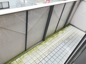 トルー・ハート　＊ A0202号-13