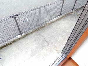 ウェストテイルショウ　＊ A0105号-12