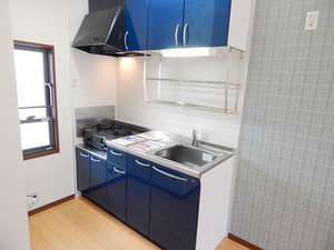 メゾン大石 C棟 ** C0201号-3