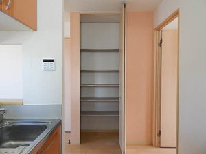 スパロー　＊ A0101号-13