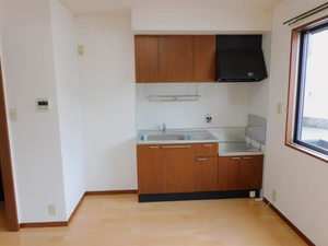 ポラリス　＊ A0101号-13