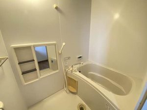 ドミール　＊ A0201号-12