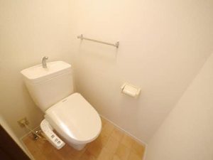 ディアス・ユー　＊ A0101号-8