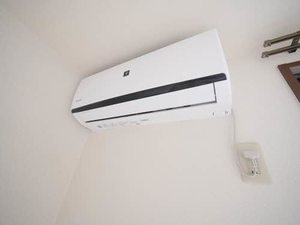 ディアス・ユー　＊ A0101号-9