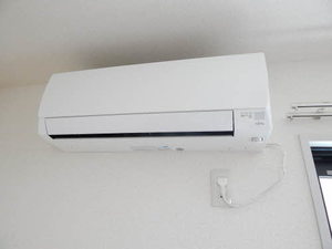 ディアス・ケン　＊ A0101号-8