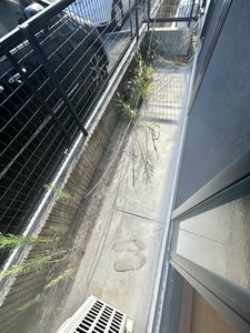 シャーメゾン綾　＊＊ A0101号-13