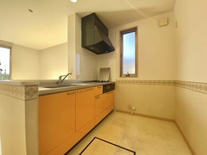 ティエラ　＊＊ A0102号-3