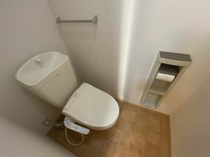 ティエラ　＊＊ A0102号-6