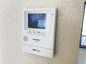 柊　＊♯ A0102号-11