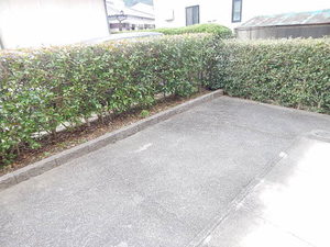 バリュージュ ** A0102号-15